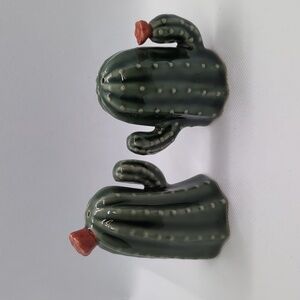 Cacti Salt and Pepper Shaker